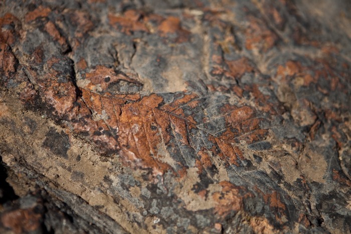 Day_025_09 Day_025_09