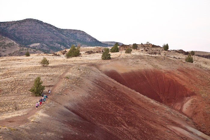 Day_025_16 Day_025_16