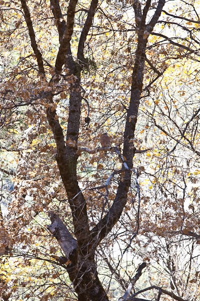 Day090_07-2 Day090_07-2