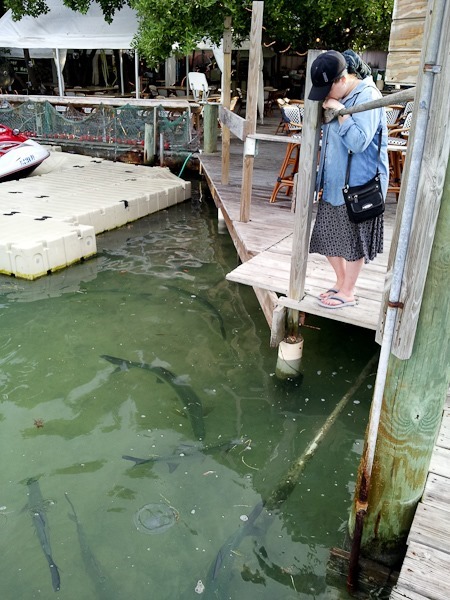 2012Vacation_Day11_03 2012Vacation_Day11_03