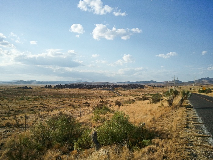 SumVac2011_Post03_09