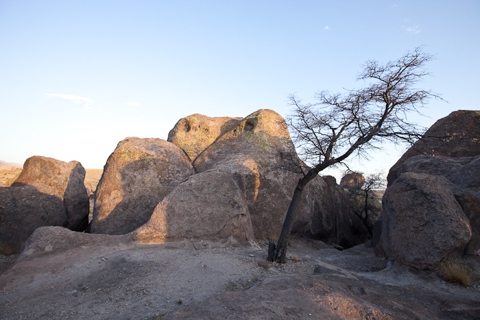 SumVac2011_Post03_16