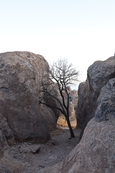 SumVac2011_Post03_19