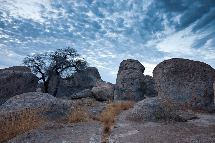 SumVac2011_Post03_23