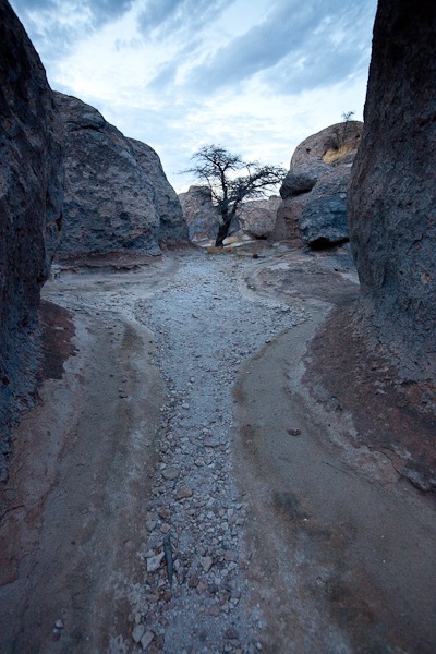 SumVac2011_Post03_24