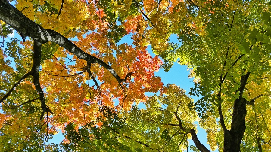 Day_803_01 Day_803_01