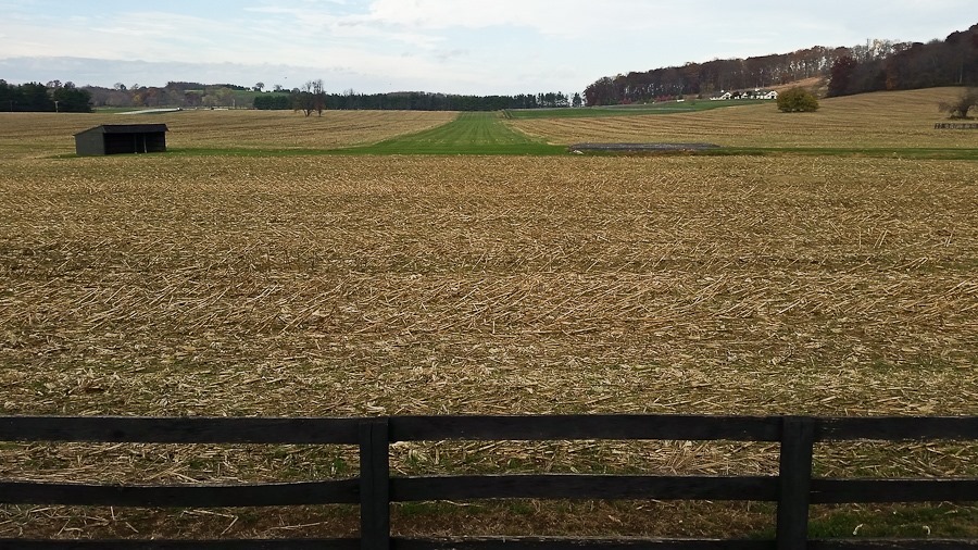 Day_821_03 Day_821_03