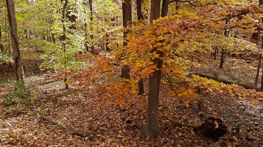 Day_821_04 Day_821_04