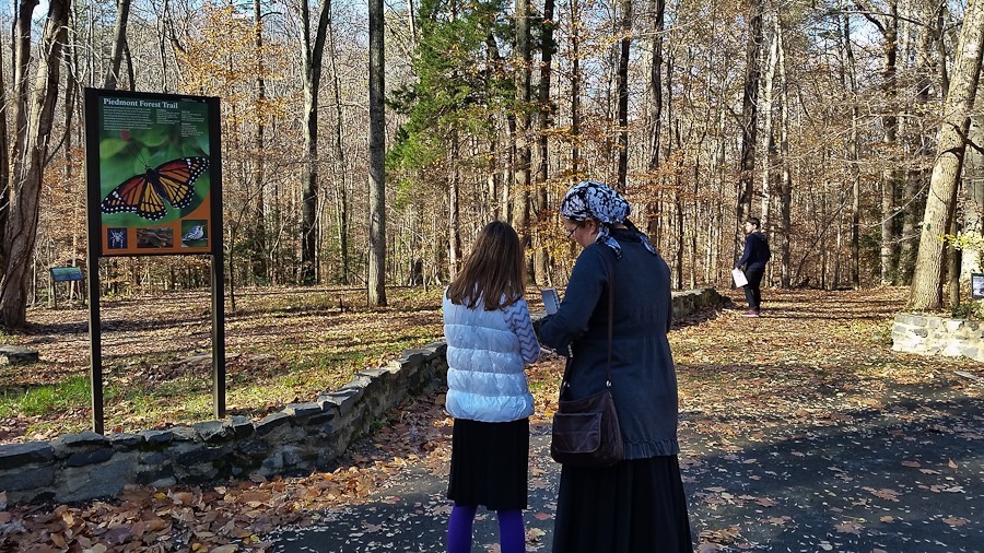 Day_826_05 Day_826_05