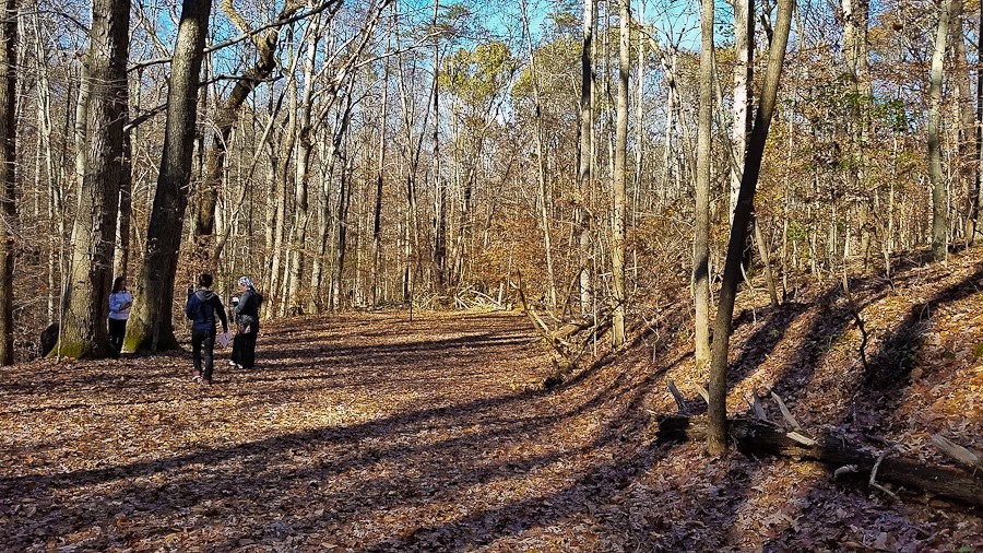 Day_826_06 Day_826_06