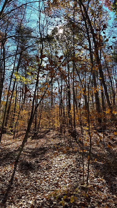 Day_826_07 Day_826_07