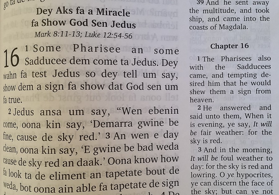 Day_832_06 Day_832_06