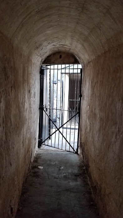 Day_832_13 Day_832_13