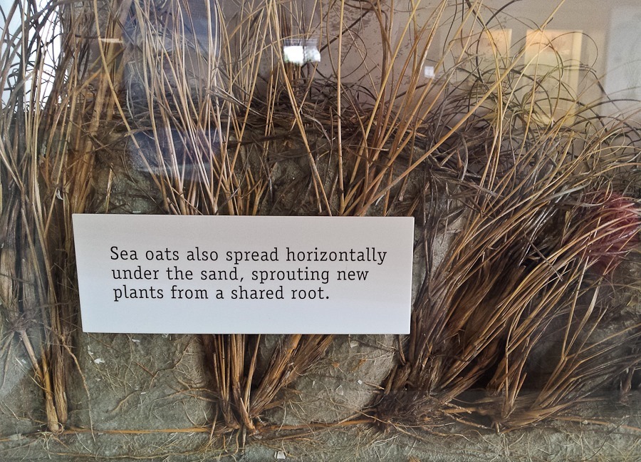 Day_834_02 Day_834_02