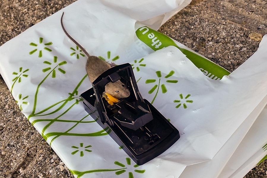 Day_887_02 Day_887_02