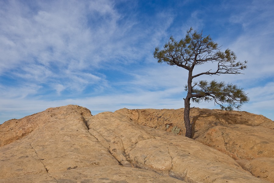 Day_938_35 Day_938_35