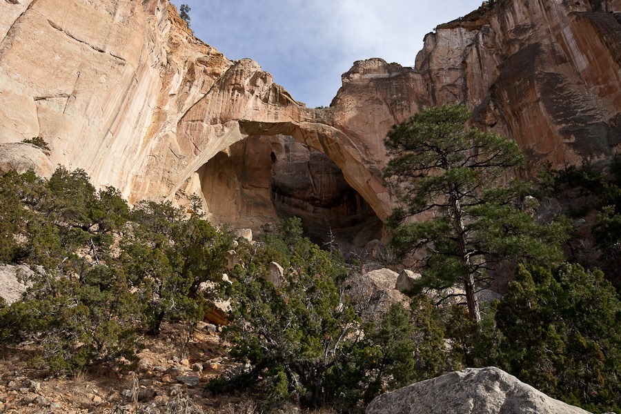 Day_938_39 Day_938_39