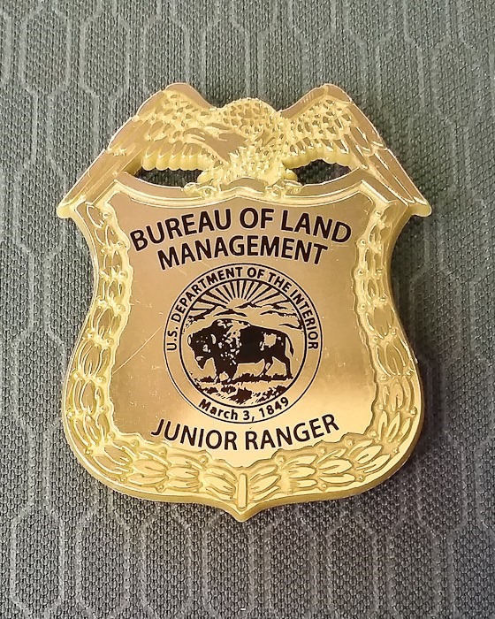 Blm Ranger Badge Patch Autumn Views and Junior Ranger Badges | Look Before You Live!