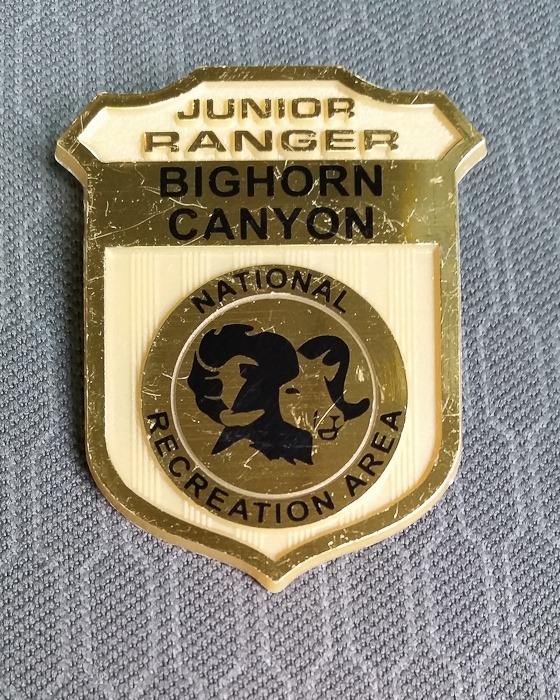 Summer2017_JR_Badge_005