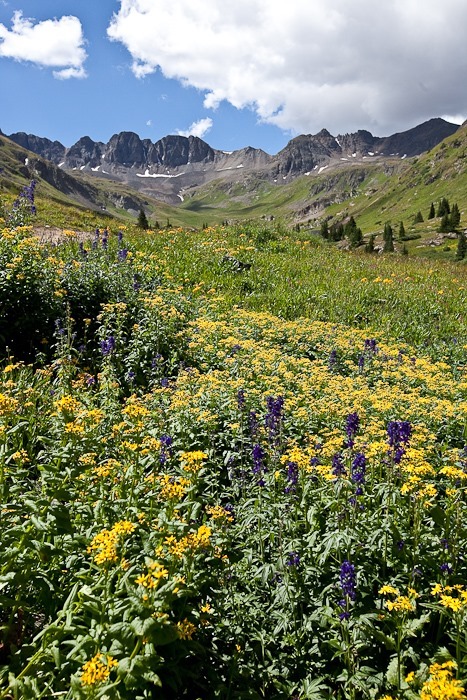 Summer2017_Day20_010