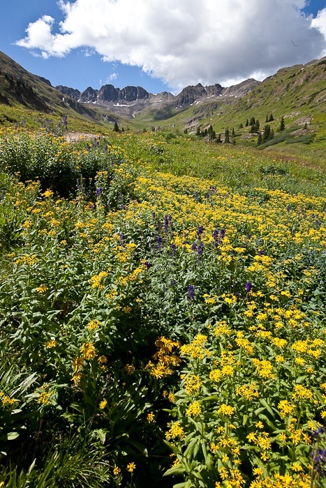 Summer2017_Day20_012