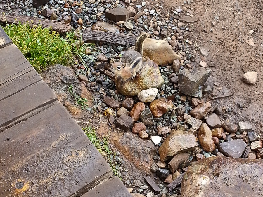 Summer2017_Day20_028