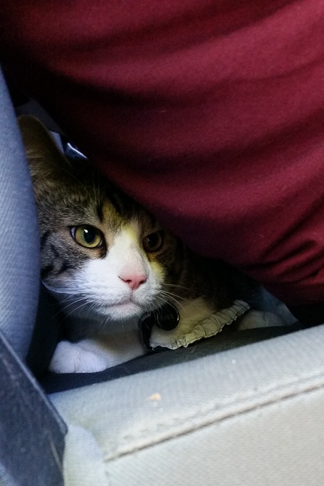 Summer_2018_Day01_001