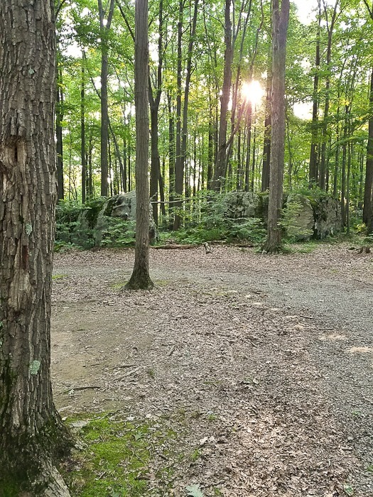 Summer_2018_Day03_003