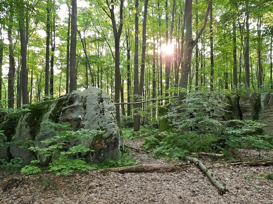 Summer_2018_Day03_004