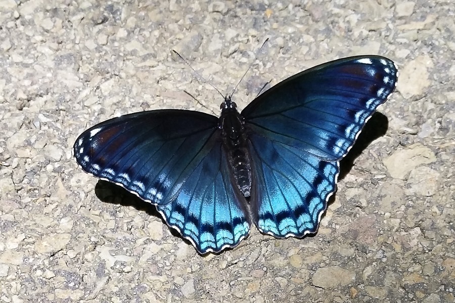 Summer_2018_Day03_015