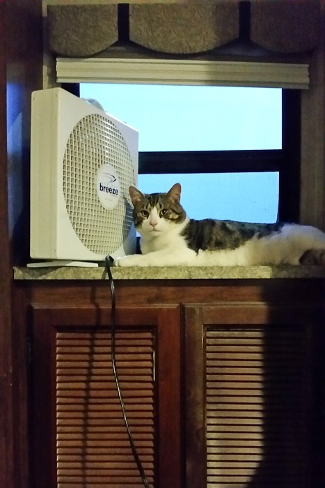 Summer_2018_Day03_022