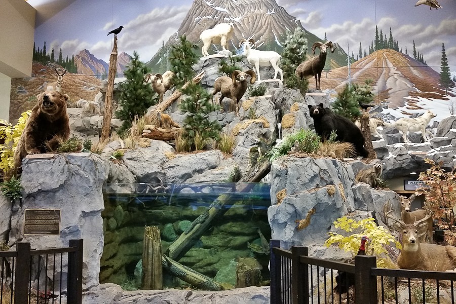 Summer_2018_Day04_006