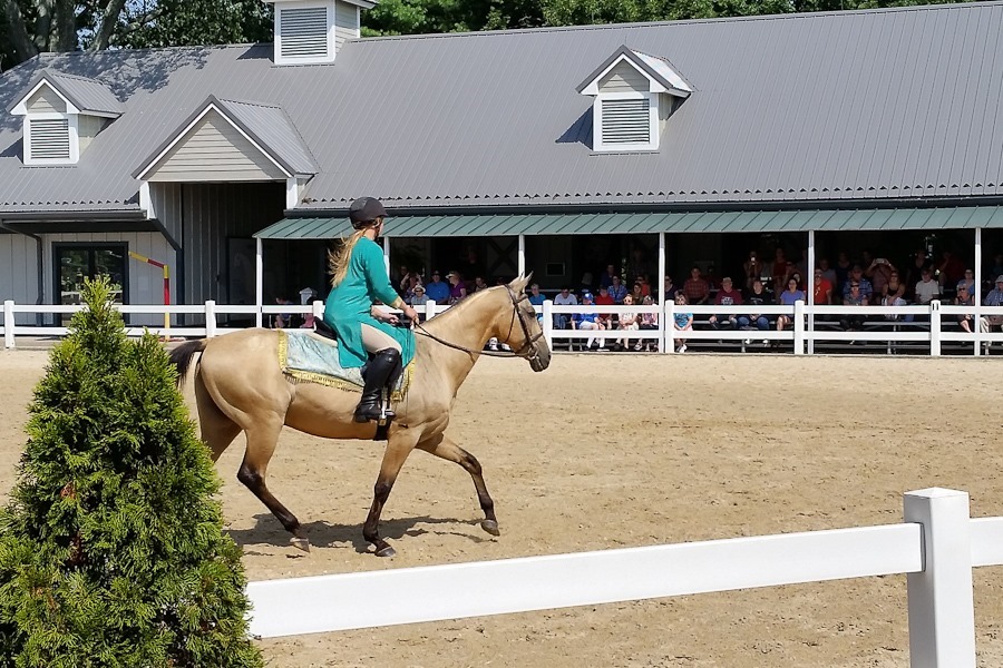 Summer_2018_Day05_004