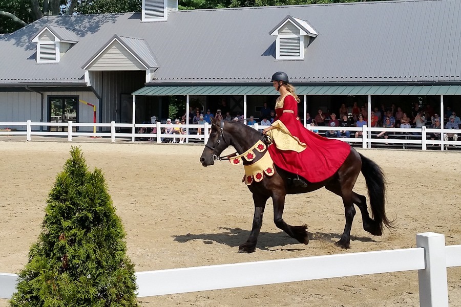 Summer_2018_Day05_007