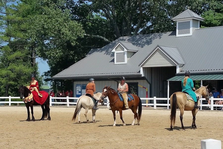 Summer_2018_Day05_008