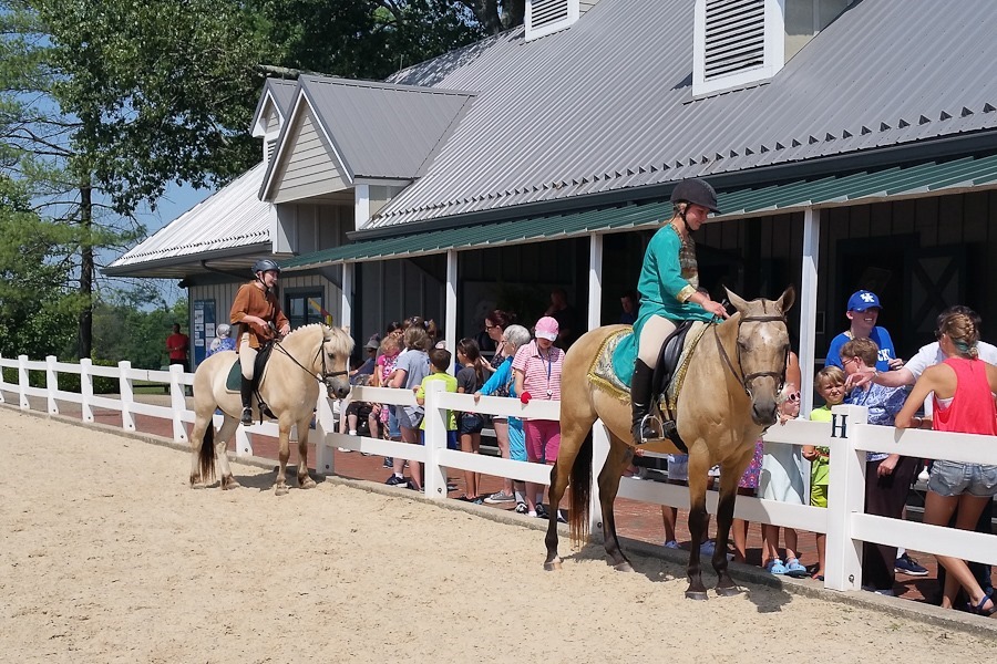 Summer_2018_Day05_009