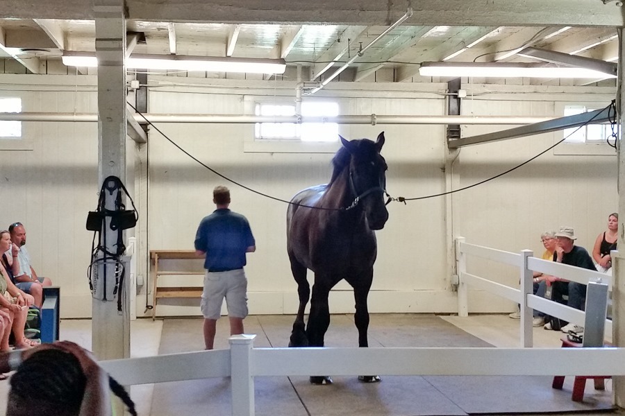 Summer_2018_Day05_010