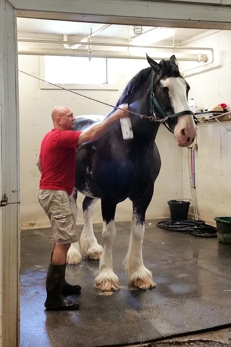 Summer_2018_Day05_011