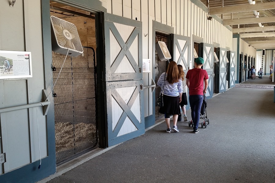 Summer_2018_Day05_012