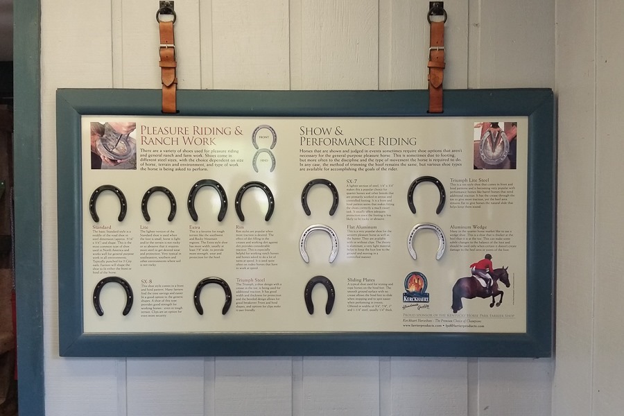 Summer_2018_Day05_014