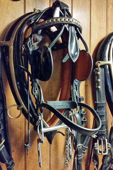 Summer_2018_Day05_015