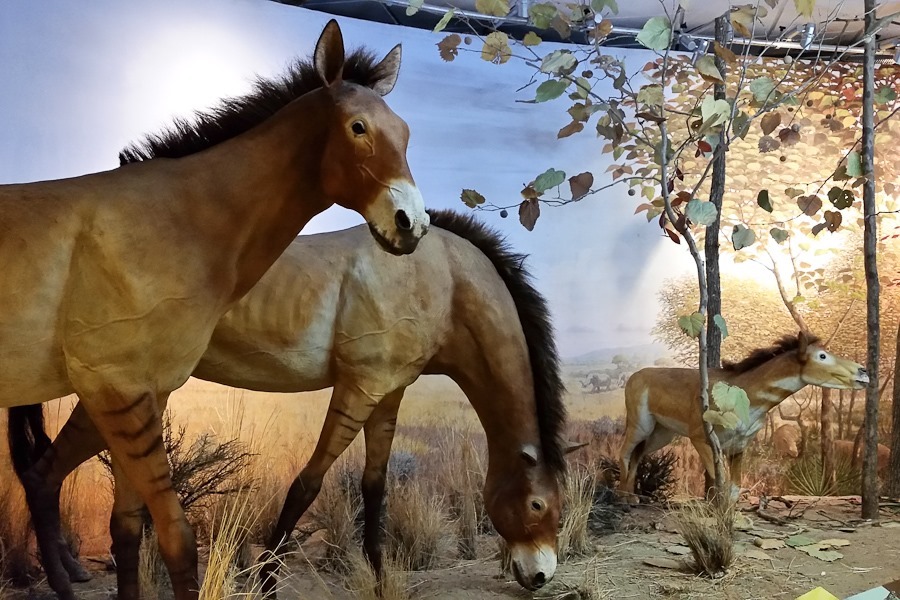 Summer_2018_Day05_016