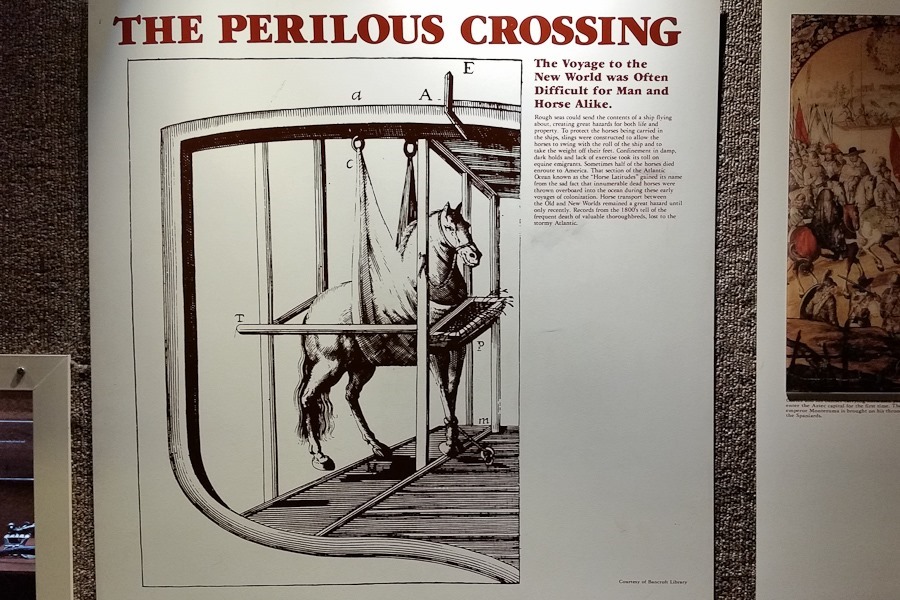 Summer_2018_Day05_018