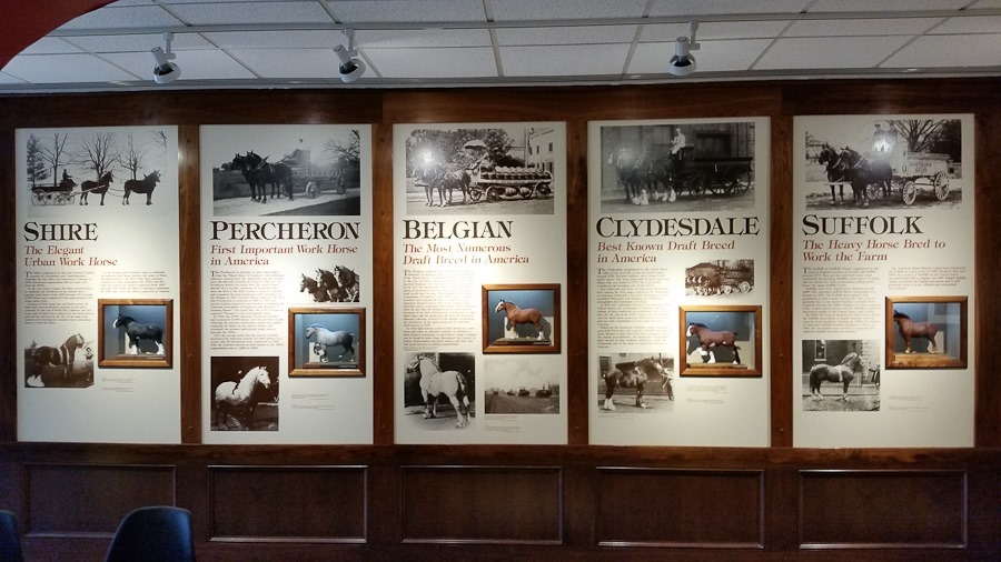 Summer_2018_Day05_019