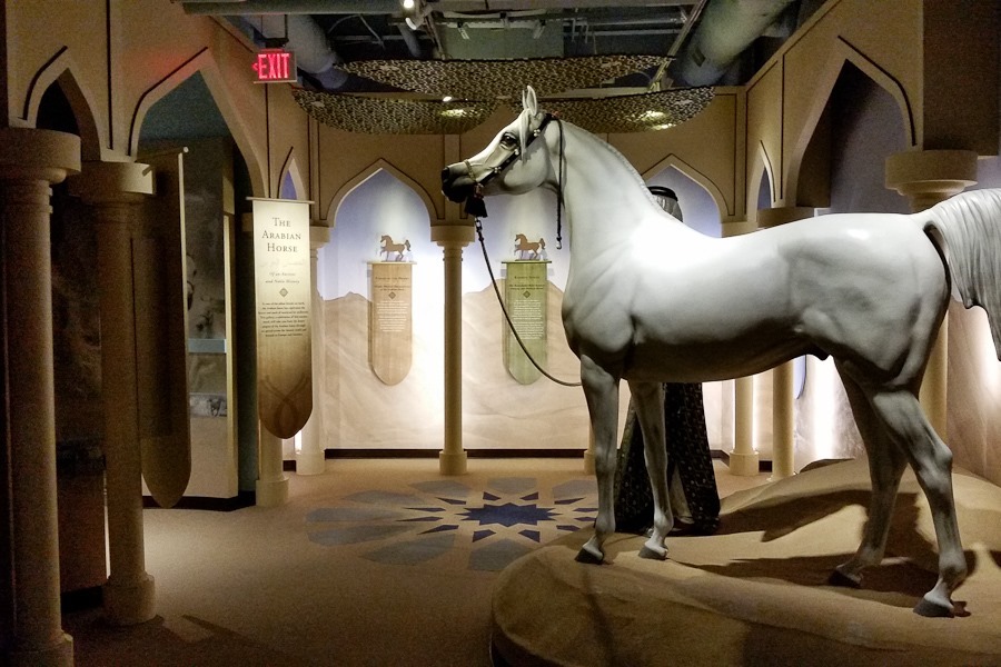 Summer_2018_Day05_021