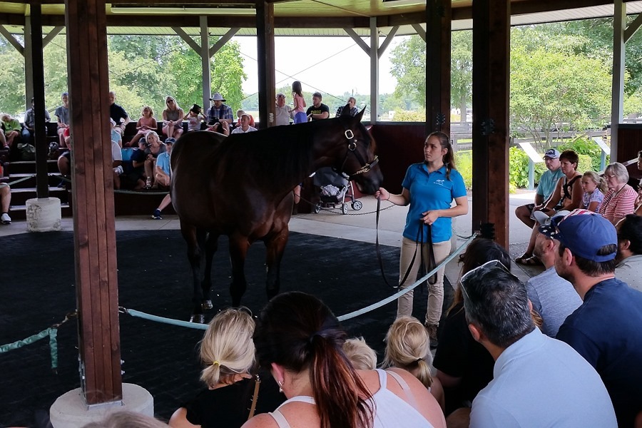 Summer_2018_Day05_023