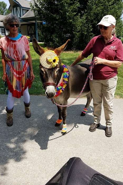 Summer_2018_Day05_024