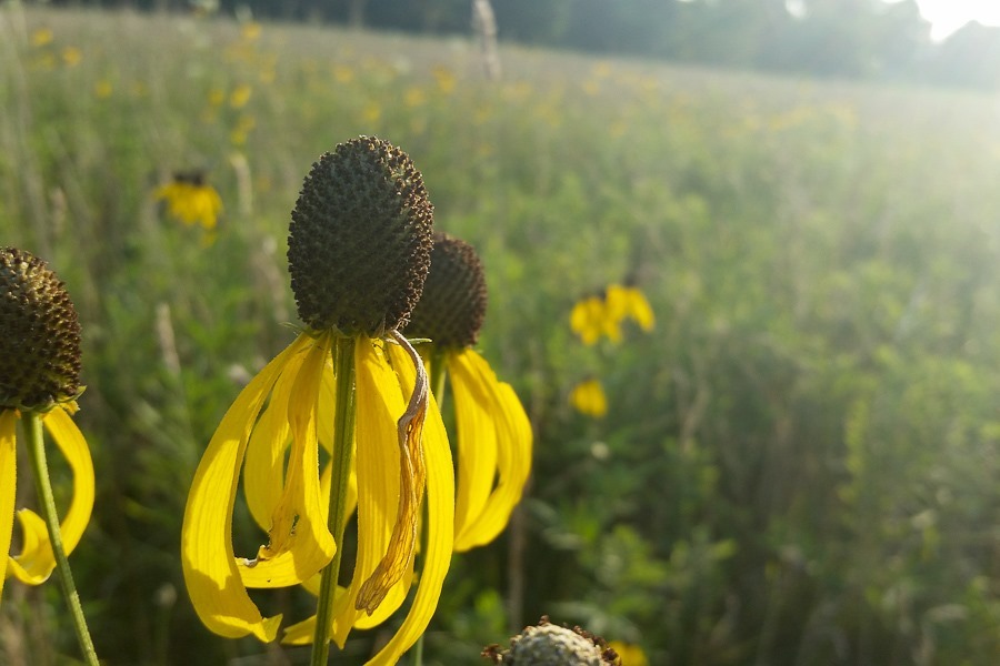 Summer_2018_Day05_028