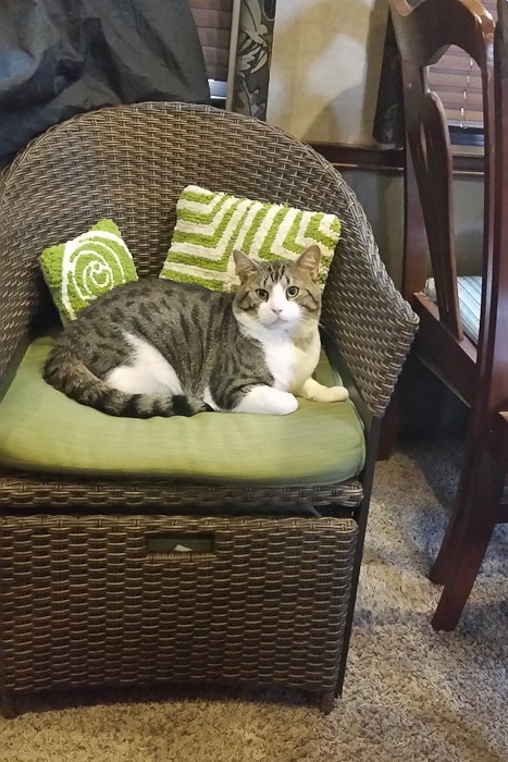 Summer_2018_Day08_001