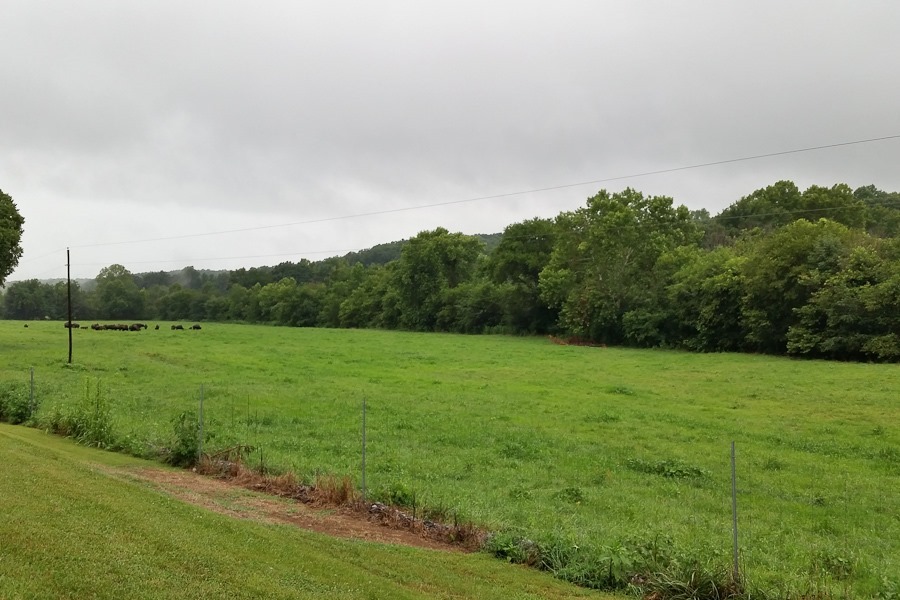 Summer_2018_Day08_005